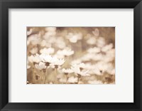 Framed Daisies I Neutral