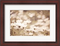 Framed Daisies I Neutral