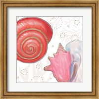 Framed Shimmering Shells IV