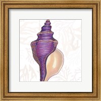 Framed Shimmering Shells IX