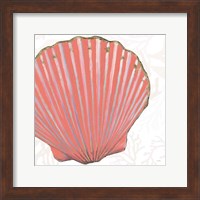 Framed 'Shimmering Shells XI' border=