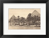 Framed Egypt Postcard II