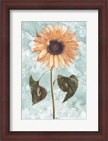 Framed Vintage Sunflower