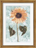 Framed Vintage Sunflower