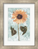 Framed Vintage Sunflower