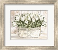 Framed Tulips in White Chipped Pail