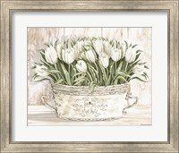 Framed Tulips in White Chipped Pail