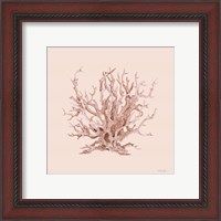 Framed 'Pink Coral I' border=