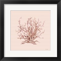 Framed 'Pink Coral I' border=