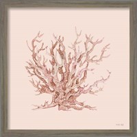 Framed 'Pink Coral II' border=