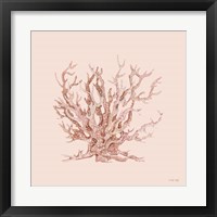 Framed 'Pink Coral II' border=