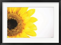 Framed Sunflower Close-up