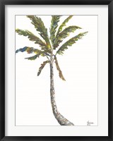 Framed Palm I