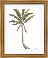 Framed Palm I