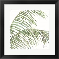 Framed Two Palm Fronds I