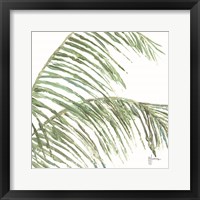 Two Palm Fronds I Framed Print