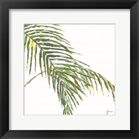 Framed Two Palm Fronds II