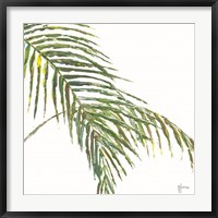 Framed Two Palm Fronds II