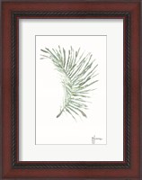 Framed Palm Frond Viridescent
