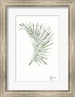 Framed Palm Frond Viridescent