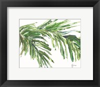 Framed Green Palm Leaves