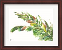 Framed Palm Leaves Vivid