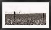 Framed Country Field
