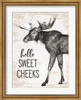 Framed Hello Sweet Cheeks Moose