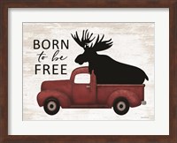 Framed Born to be Free Moose