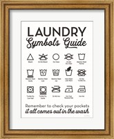 Framed Laundry Symbols Guide