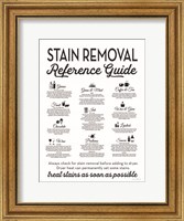 Framed Stain Removal Reference Guide