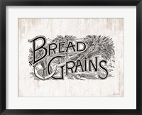 Framed Bread Grains