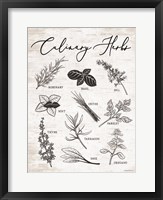 Framed Culinary Herbs