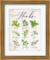 Framed Herbs