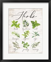 Framed Herbs