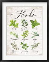 Framed Herbs