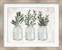 Framed Herb Trio