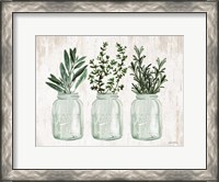 Framed Herb Trio