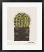 Framed Potted Cactus