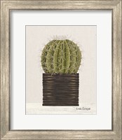 Framed Potted Cactus