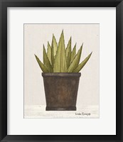 Framed 'Potted Aloe Vera' border=