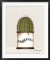 Framed Round Cactus