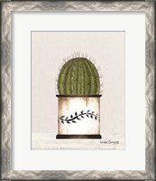 Framed 'Round Cactus' border=