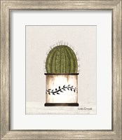 Framed Round Cactus