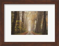 Framed Autumnal Moodiness
