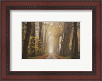 Framed Autumnal Moodiness