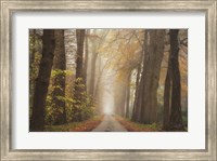 Framed Autumnal Moodiness