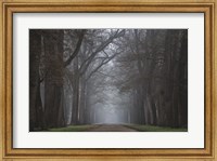 Framed Creepy Road