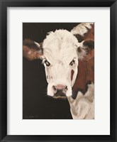 Framed Portrait of a Hereford