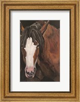 Framed Horse Portrait I